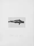 Joseph Beuys, Meerengel-Robbe 1, Original-Farbradierung (Ätzung und Aquatinta) auf gelblichem leicht genarbten Velin