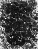 Sam Francis, Blue Dip