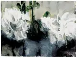 Ohne Titel (weiße Dahlien) by Klaus Fußmann, Gouache und Aquarell auf fein genarbtem Velin, sold Jun 2004