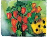 Lampionblumen by Klaus Fußmann, Aquarell auf genarbtem Velin, sold Nov 2003