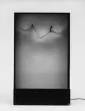 Julio Le Parc, (Ohne Titel) Konstantes Licht mit bewegten Formen