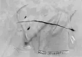 Rosemarie Trockel, Ohne Titel