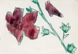 Christian Rohlfs, Petunie