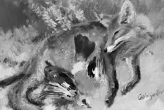 Carl Weisgerber, Fuchs und toter Eichelhäher, Tempera auf schwerem, leicht genarbten Velin