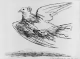 Pablo Picasso, Le Vol de la Colombe, Original-Lithographie auf Velin