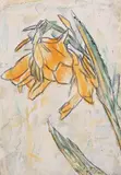 Cannablüte by Christian Rohlfs, Aquarell und Kreidezeichnung auf festem, grob genarbten Aquarellpapier, sold May 2003