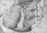 Gustav Wunderwald, Waldstück mit Wasserfall, Bleistiftzeichnung auf chamoisfarbenem Halbkarton