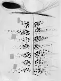 Jürgen Partenheimer, Brought me out of myself