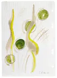 Sigmar Polke, Ohne Titel (Reiher)