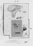 Cy Twombly, Natural History, Part I, No. III