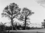 Theo Champion, Landschaft mit Bäuerin und Rind