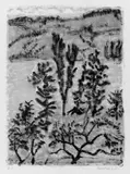 Erich Heckel, Bäume am See