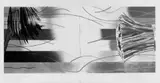 James Rosenquist, Area Code