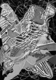 Frank Stella, Hudson River Valley
