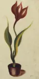 Heinrich Hoerle, Tulpe