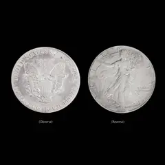 Untitled by 1990 Silver Eagle Ngc Ms-69 American Flag Slab, Commemorative Coin <br> Denomination: 1 Dollar <br> Year: 1990 <br> Mint: U.S. Mint <br> Metal: fine silver <br> Diamete, sold Apr 2026