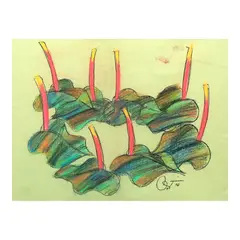 Romulo Olazo, Anthurium, soft pastel on paper