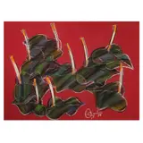 Romulo Olazo, Anthurium