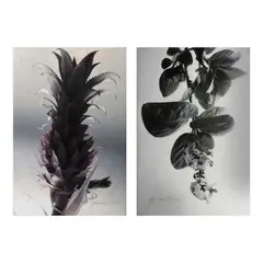 Ross Capili, a.) Untitledb.) Untitled, b.) hand-signed and dated 2005 (lower left)<br /> print, A/P<br /> 20 1/2" x 13 3/4" (52 cm x 35 cm)