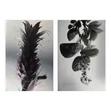 Ross Capili, a.) Untitledb.) Untitled, b.) hand-signed and dated 2005 (lower left)<br /> print, A/P<br /> 20 1/2" x 13 3/4" (52 cm x 35 cm)