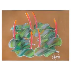 Anthurium by Romulo Olazo, soft pastel on canson paper, sold Jan 2025