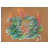 Romulo Olazo, Anthurium