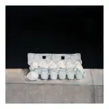 Isabel Diaz, Untitled (Eggs), oil on canvas