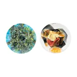 a.) Untitled b.) Untitled by Two Ceramic Plates <br>a.) Juvenal Sansó <br>b.) Cesar Legaspi, handpainted ceramic plate, sold Jul 2024