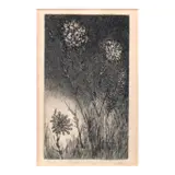 Juvenal Sansó Garrit, Grass and Flowers, etching 10/25