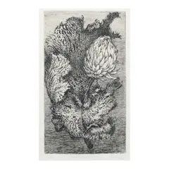 Flower and Leaf by Juvenal Sansó Garrit, etching 6/25, sold Jul 2024