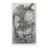 Juvenal Sansó Garrit, Flower and Leaf, etching 6/25