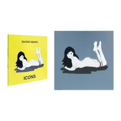 Takeru Amano, ICONS (Book & Print), silver print<br /> edition of 50