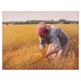 Vincent Ramos, Planting Rice