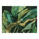 Soler Santos, Plants (Study), acrylic on paper