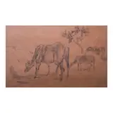 Romeo Tabuena, Untitled (Carabao)