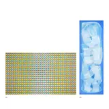 Jaime Roque, a.) Abstract b.) Abstract, a,) acrylic on canvas<br /> b.)oil on canvas