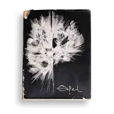 Antonio Magaz Sangro, Zóbel, Hardcover / 10 x 7.75 inches / 134 pages / BW