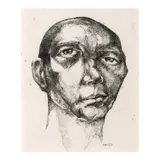 Onib Olmedo, Guava with Seven Holes, pen and ink on paper