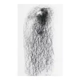 Augusto Albor, Untitled, charcoal on paper