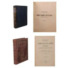 Sebastián Vidal y Soler a.) Sinopsis de Familias y Géneros de Plantas Leñosas de Filipinas [Synopsis of Families and Genera of Woody Plants of the Philippines] Manila: Establecimiento Tipo-Litográfico de Chofré y C., 1883. 411 pages size: 14 1, 2" x 11" depth: 2" b.) Flora forestal de Filipinas [Forest flora of the Philippines] Manila: Establecimiento Tipo-litográfico de Chofré y Cía, 1883. Unpaged. size: 8 3, 4" x 6 1 & 4" depth: 1", Untitled