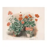 Anita Magsaysay-Ho, Still Life