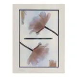 Jaime Zobel De Ayala, Untitled (Flower)