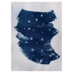 Issay Rodriguez, Untitled (Bougainvillea Bracts), cyanotype on paper