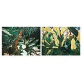 Soler Santos, a. Guava Tree b. Plants, a. acrylic on canvas<br /> b. acrylic on canvas