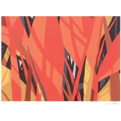 Soler Santos, Untitled, Print A/P