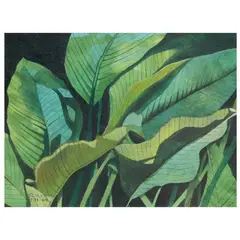 Soler Santos, Plants (study), watercolor on paper