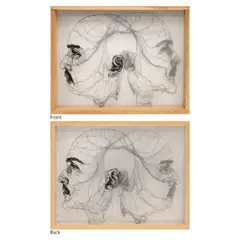 Ginny Alcalde, Untitled, thread and fabric