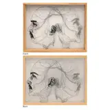 Ginny Alcalde, Untitled, thread and fabric