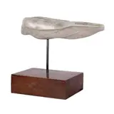 Renato Rocha, Untitled