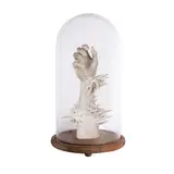 Zean Cabangis, Untitled, polyresin, glass, wood